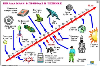 Динамика и элементы статики  (21 шт), комплект кодотранспарантов (фолий, прозрачных пленок)