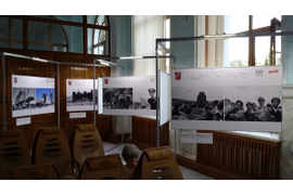 Оформление выставки фотографий. Севастополь, июль 2014 года 