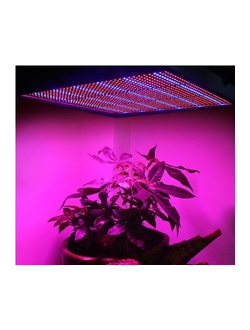 Светодиодные светильники для растений, фитосветильники.