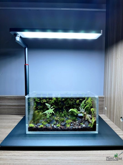 Светильник LEDSTAR AQ NANO III