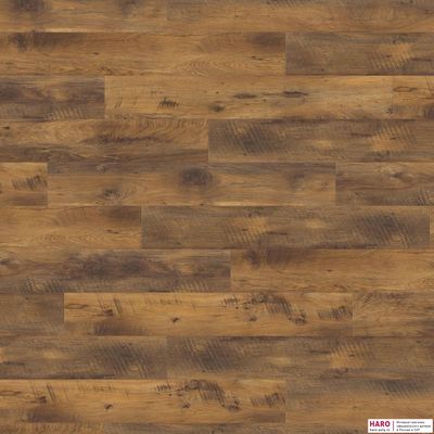 Декор ламината Haro Tritty 100 Дуб Альтхольц 526678 фронт