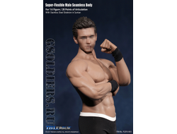 Супер-подвижное бесшовное мужское тело (телоид) PL2016-M33 1/6 Super Flexible Seamless Male Figure Body Steel Skeleton - PHICEN