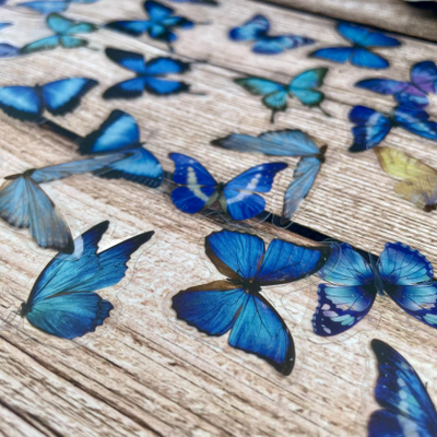 Наклейки. Бабочки. Синие (40 шт.)
