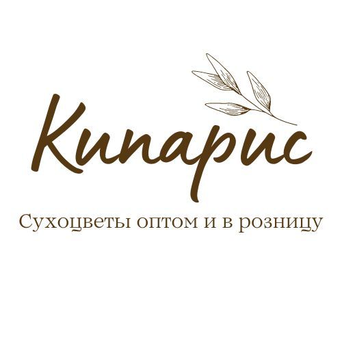 Купить сухоцветы в СПб - цены в интернет-магазине сухоцветов Кипарис