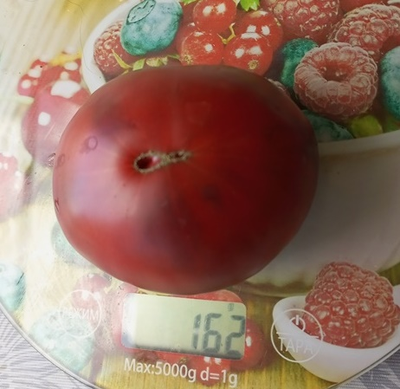 Томат Королевский фиолетовый (Royal Purple)