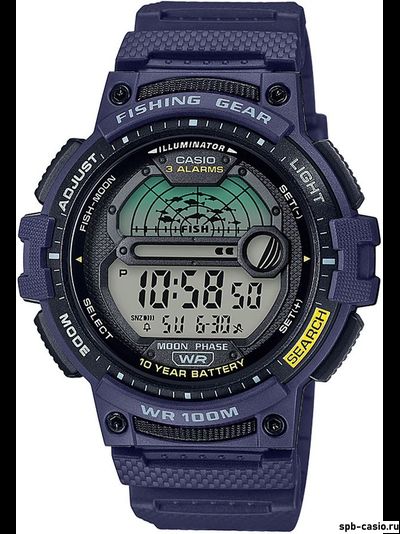 Часы Casio WS-1200H-2AVEF