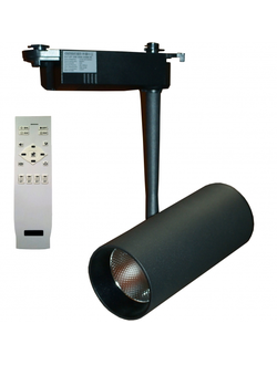 svetilnik-trrekovyi-svetodiodnyi-s-pultom-dlp-20w