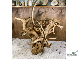 Коряга ПУСТЫННАЯ 5XL (40-70 см)