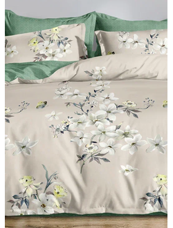 Постельное белье Cleo полутороспальное поплин 145х215х1 150х220х1 70х70х2 15/009-PCE