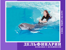 ДЕЛЬФИНАРИЙ - ПЛАВАНИЕ С ДЕЛЬФИНАМИ (30 МИНУТ) В ШАРМ ЭЛЬ ШЕЙХЕ