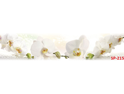 SP-215 Глянцевая стеновая панель ALBICO  2800*610*6мм.