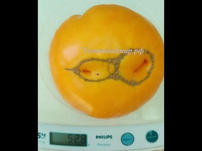 Томат Большой золотой вкусный (Big Golden Delicious)