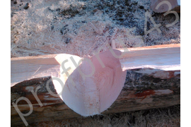 Рубленое бревно