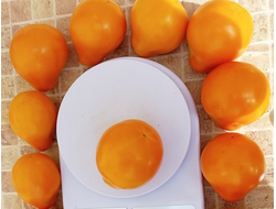 Томат Японский трюфель желтый