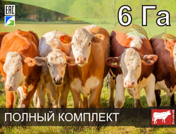 Купить электропастух для коров, цена на электропастух для крс в Москве ...