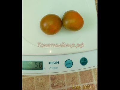 Томат Злая Маслина (Evil Olive, США)