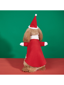 Новогодний костюм Санты для собак и кошек