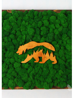 ЖИВАЯ ЭКО-КАРТИНА 1028