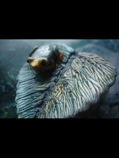 Брошь с лягушкой "Принцесса с окраин Ранней Осени"