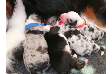 Ура! Мы родились!