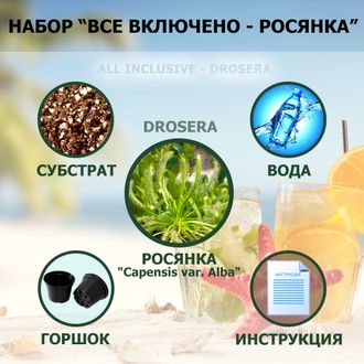 Подарочный Набор "Все включено - Росянка"