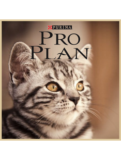 Повседневные сухие корма Проплан для кошек и котят