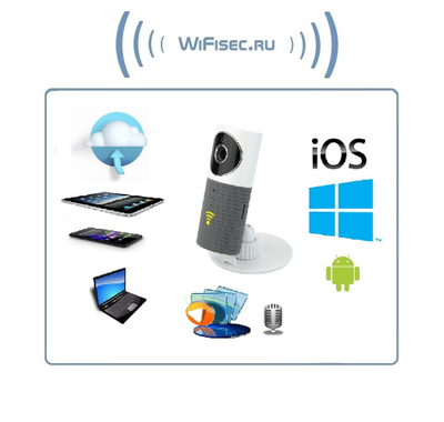 Видеоняня /WiFi видеокамера CleverDog с DVR