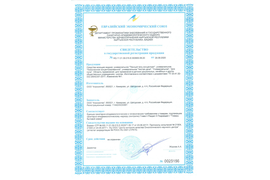 Свидетельство о государственной регистрации моющие средства