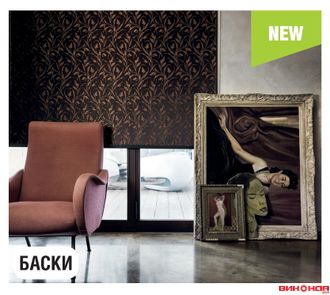 Баски  (Голландия)