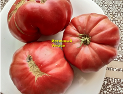 Томат Истинный (Verace, Италия)