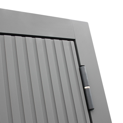 Стальная дверь   Spark. Заказная модель.