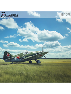 Фотофон виниловый «На поле»