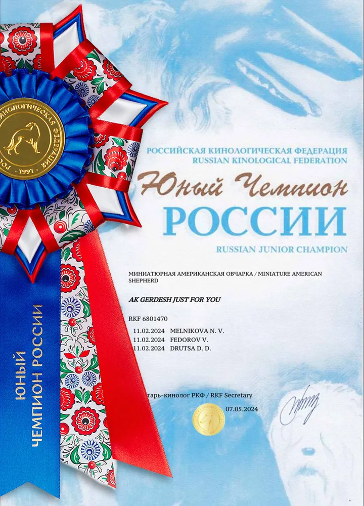 Юта. Заслуженная награда Юного Чемпиона России - диплом и красивая розетка.