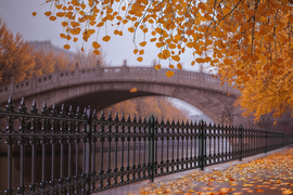 Полимерный композиционный забор