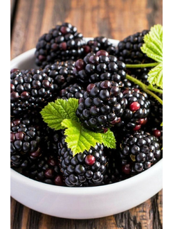 Ежемалина  Бознберри