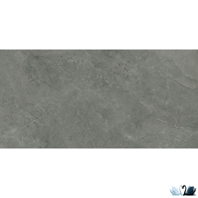 Керамогранит Laparet Плуто гриджио\Pluto grigio MR 59,5 х 119,1 см серый матовый