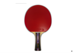 Ракетка для настольного тенниса Gambler 6 STAR (коническая) купить в Воронеже