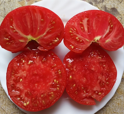 Томат Большой итальянский Миссис Максвелл (Mrs Maxwell’s Big Italian)