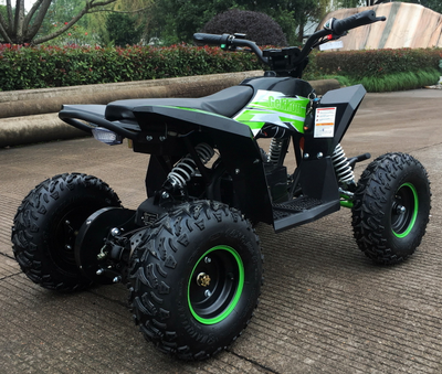 Детский квадроцикл Motax GEKKON 1300W