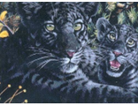 Черная пантера с детенышами (99397), Kustom Krafts (набор для вышивки нитками) vkn