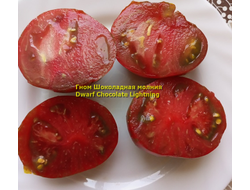 Томат Гном Шоколадная молния (Dwarf Chocolate Lightning)