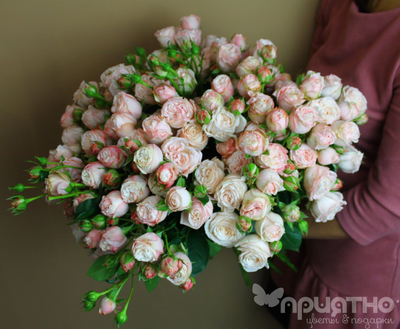 БУКЕТ МОНО ЦВЕТОВ № 443