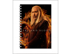 Тетрадь Дом Дракона, House of the Dragon №6