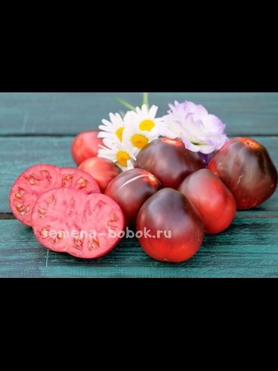 Томат Синяя Груша, 10 шт.