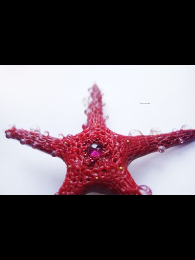 Морская брошь "Звезда ундины"