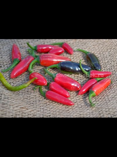 Перец острый Jalapeno Moriachi (Халапеньо Мориачи), 10 шт
