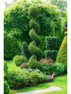 Стриженные формы и Бонсаи