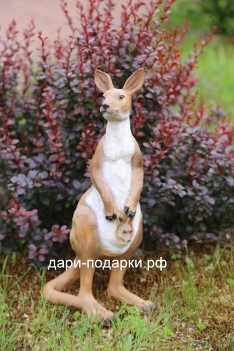 Кенгуру Интернет Магазин Радужный Владимирская