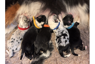 Ура! Мы родились.