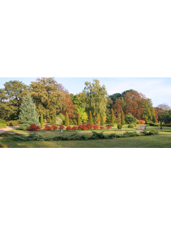 Ближний план